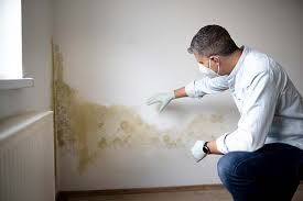 Best Commercial Mold Inspection  in University Heights, OH